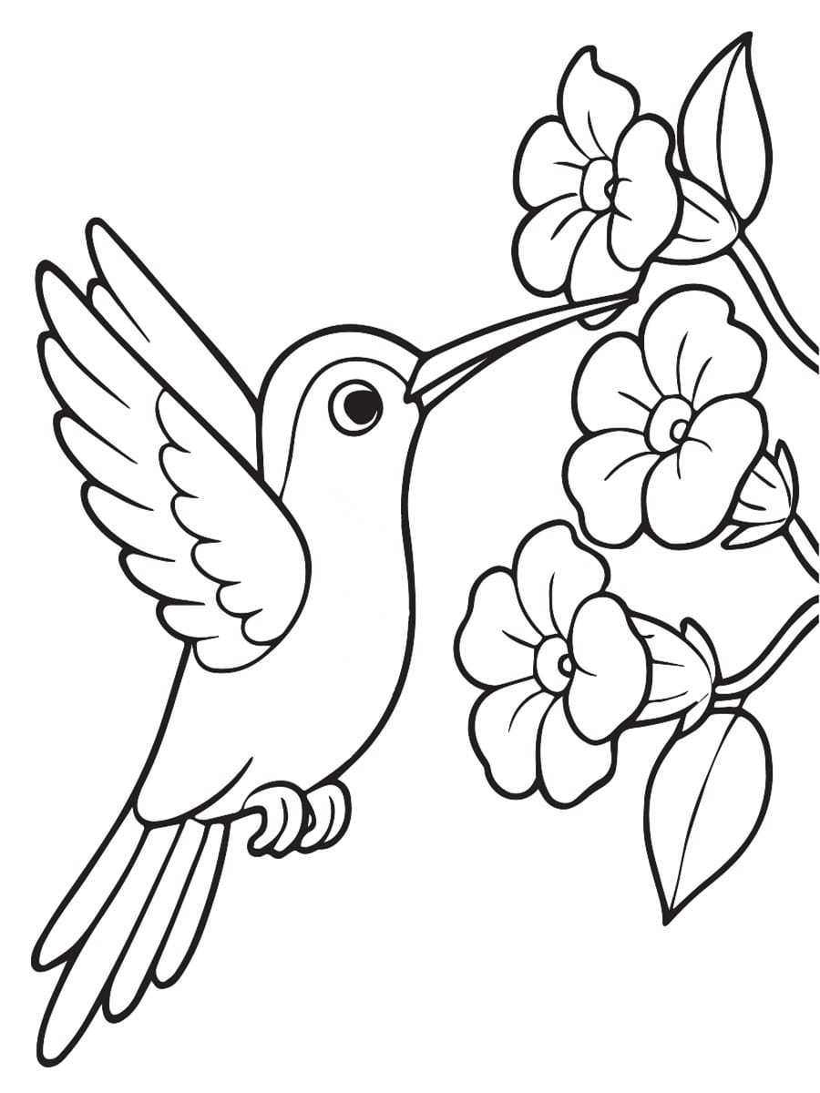 Oiseau
