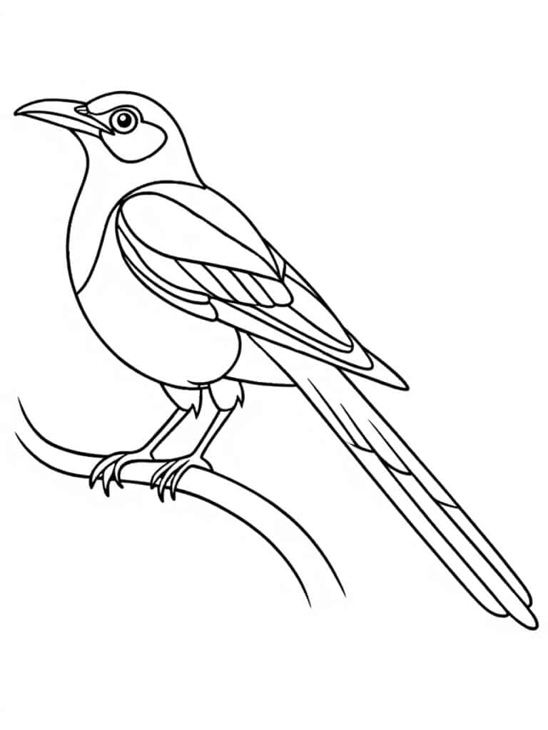Coloriage pie