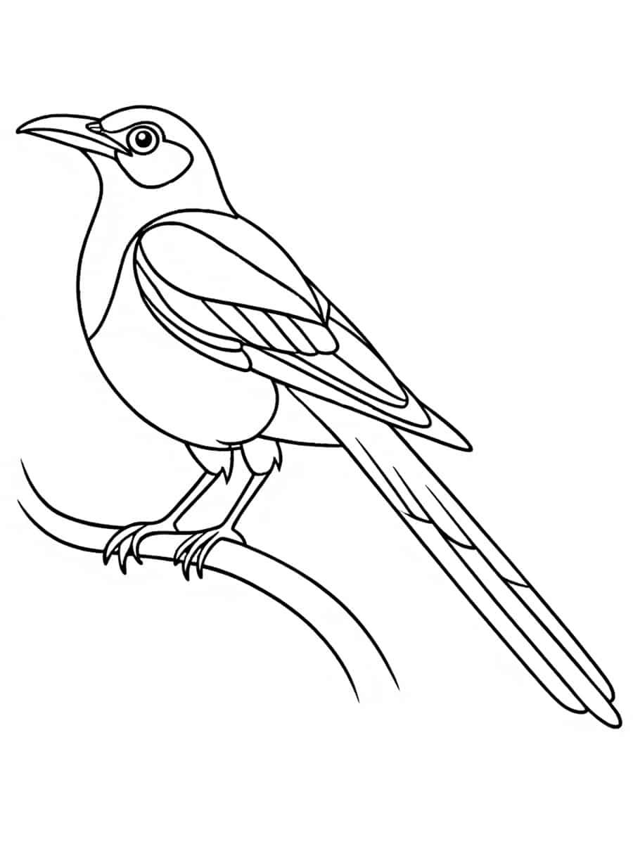 Coloriage Pie Imprimer PDF Gratuit 