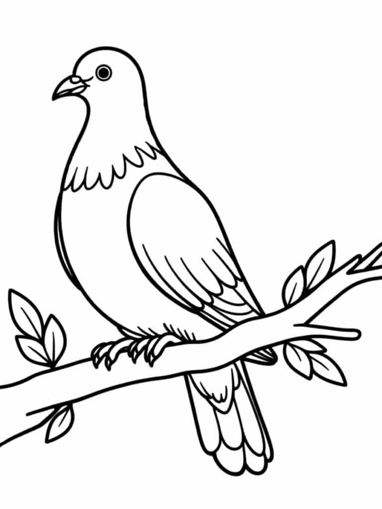 Coloriage pigeon
