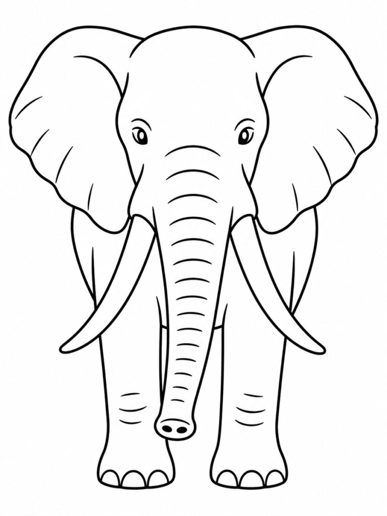 Coloriage éléphant de face