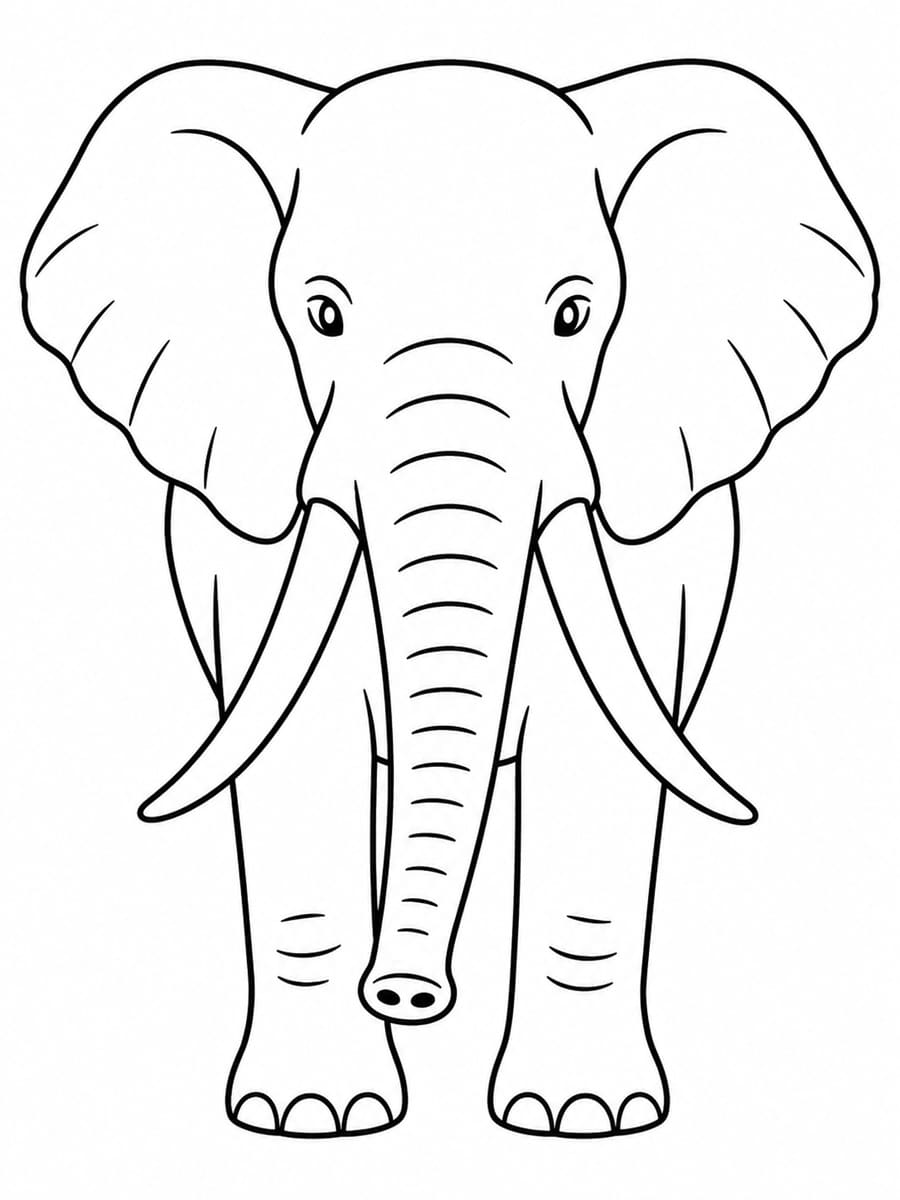 Coloriage éléphant de face