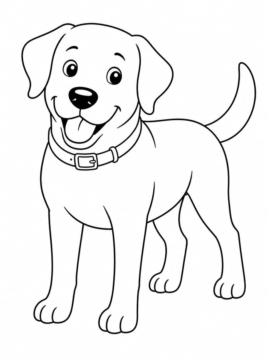 Coloriage labrador