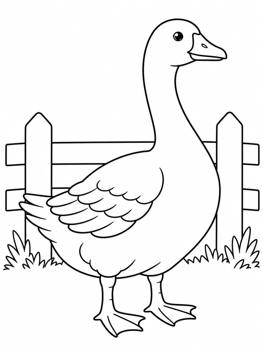 Animaux de la ferme