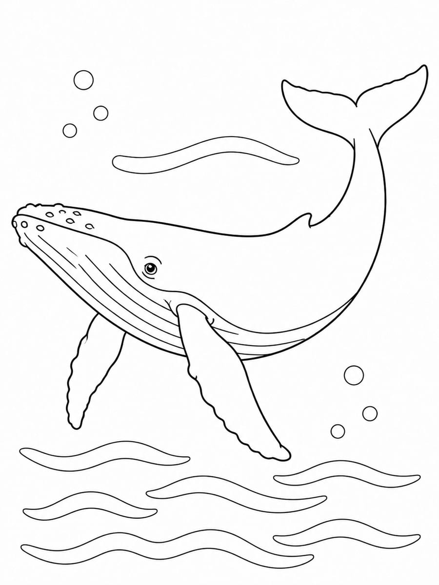 Coloriage baleine réaliste
