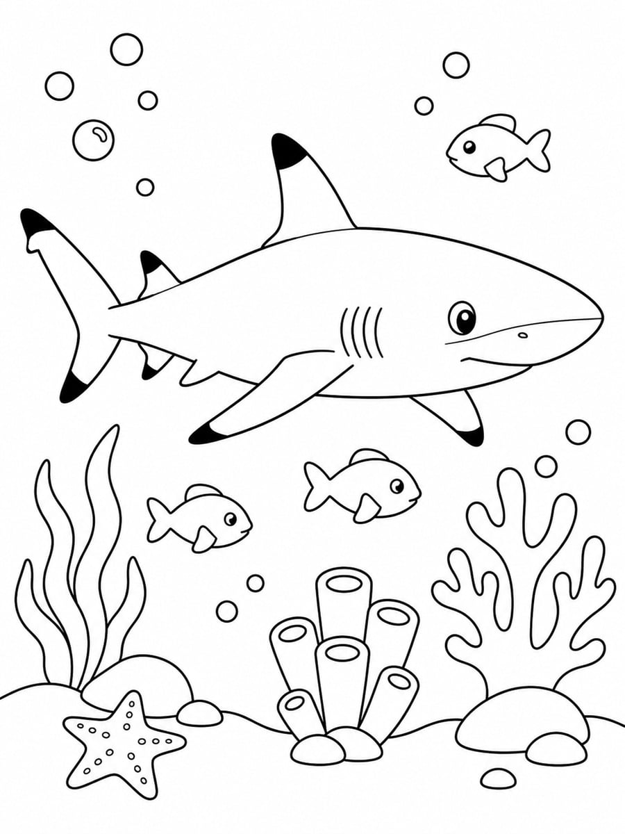 Coloriage requin pointe noire