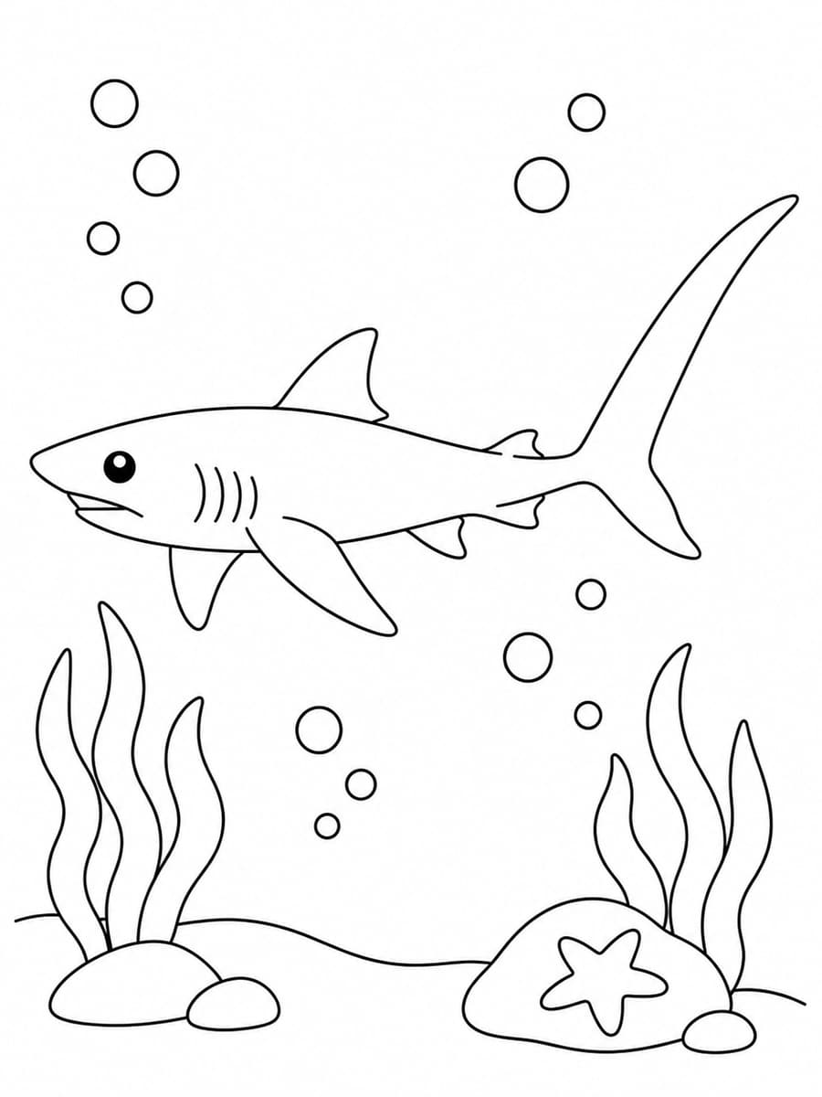 Coloriage requin renard